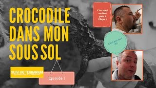 J&'ai Des Crocodiles Dans Mon Sous Sol (1/2)