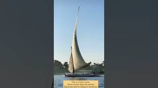 THIS IS FELUCCA BOAT | In Egypt