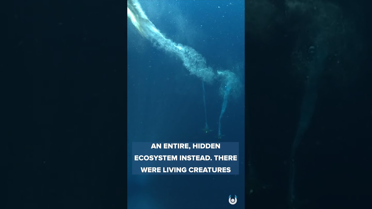 A Bizarre Discovery In Antarctica Unveiled Go It