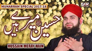 New Muharram Kalam 2017 | Hussain Meray hain | Hafiz Ahmed Raza Qadri | Released by ARQ Records