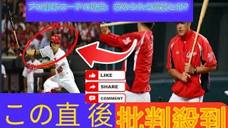 プロ野球コーチの現実：求められる資質とは？