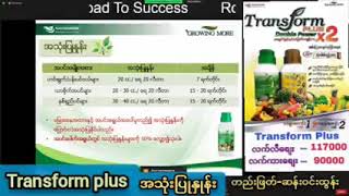 Transform plus အသုံးပြုနည်း