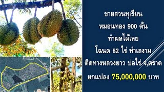 #ขาย #สวนทุเรียนแปลงใหญ่ หมอนทอง 900 ต้น #โฉนด 82 ไร่ 75 ล้านบาท บ่อไร่ ตราด ID Line 0972530444