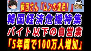 【ゆっくり解説】韓国さん、異常事態 バイトより稼げない自営業が5年間で100万人増加 自営業者の負債も5年で1000兆ウォンと急増するも7割が高金利の消費者金融など