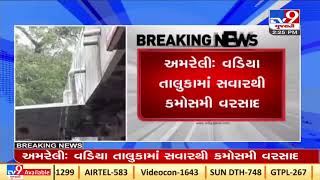 Unseasonal rain brings big worry for farmers, Amreli | Tv9GujaratiNews