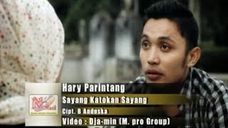 HARRY PARINTANG - SAYANG KATOKAN SAYANG