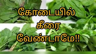 கோடையில் இந்த உணவுகளை தவிர்க்கவும் # in summer avoid these foods....