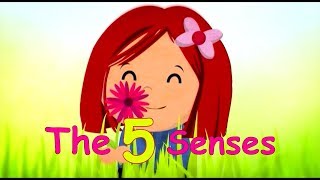 The 5 Senses - Toyor Baby English