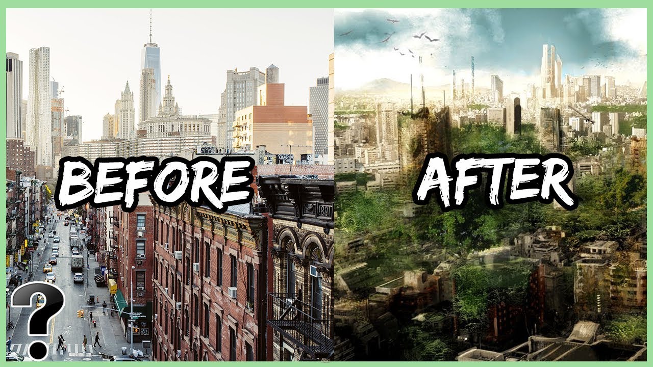 If Humans Went Extinct What Would Replace Us Youtube