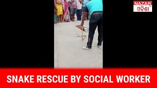 SNAKE RESCUE BY SOCIAL WORKER