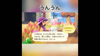 4ごうちゃんの悩み　#animal #animalcrossing #vlog #あつ森 #あつまれどうぶつの森 #acnh #shorts