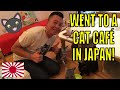 Went to a Cat Café in Japan!