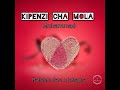 kipenzi cha mola feat. johayna