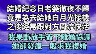 結婚紀念日老婆徹夜不歸，竟是為去給她白月光接機，之後經常跟對方在外風流快活，我果斷放手簽下離婚協議，她卻發瘋一般求我復婚【清風與你】#深夜淺讀 #花開富貴#一口氣完結 #一口氣看完系列 #小說