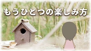 【お庭の工夫】ぼぉ～っとできるお庭｜木漏れ日｜鳥を呼ぶ｜ちいさな流れ｜枝葉のゆらぎ｜蝶を呼ぶ