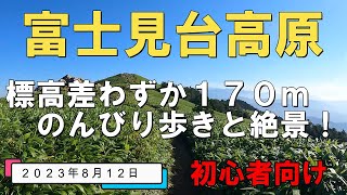 【富士見台高原】初心者向け！標高差170m のんびり歩きと絶景！20230812