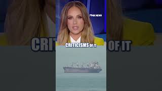 They are ‘UNDERMINING’ our country: Tomi Lahren #foxnews #news #us