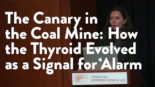 The Canary in the Coal Mine: How the Thyroid Evolved as a Signal for Alarm   [Functional Forum]