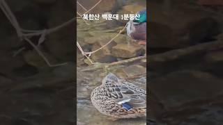 ⛰️경기 고양 북한산(백운대)(명산100) 블랙야크BAC 북한산성탐방지원센터🗓등산일자: 20240301(금), 맑음, 오전8시 산행시작⏱️등산시간: 왕복 약7시간30분 #백운대