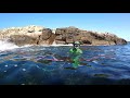 spearfishing eden south coast nsw