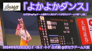 20240522　かわいい！福岡で話題沸騰の｢よかよかダンス｣が大阪上陸！　4回表終了後　福岡ｿﾌﾄﾊﾞﾝｸﾎｰｸｽ主催試合　ﾊﾆｰｽﾞ@京ｾﾗﾄﾞｰﾑ大阪･ﾚﾌﾄ外野下段 白のｷｾｷ2024in大阪