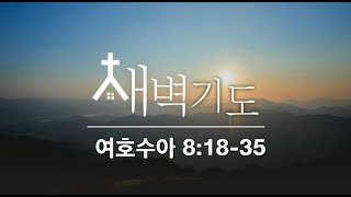 [포항큰숲교회] 25.1. 12 새벽기도회