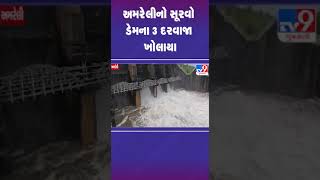 અમરેલીનો સૂરવો ડેમના 3 દરવાજા ખોલાયા | #amreli #survodam #tv9gujarati #shorts