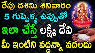 రేపు దశమి శనివారం 5 గుప్పెళ్ళ ఉప్పుతో ఇలా చేస్తే లక్ష్మి దేవి మీ ఇంటిని వద్దన్నా వదలదు | TeluguNew