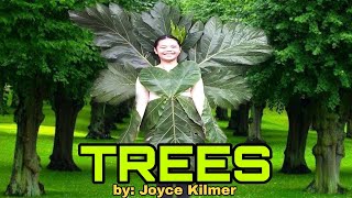 TREES by: Joyce Kilmer