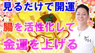 【最強金運】腸を活性化してお金に好かれる人になる〜プロ霊能力者のガチヒーリング