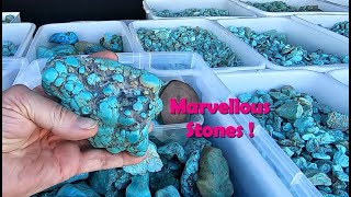 Spectacular Stones - Tucson Gem Show 2025