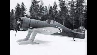 A Brief History of Finnish Fokker D.XXI