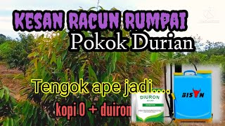 Boleh ke meracun rumpai dalam pokok durian.. ?  Tengok ape jadi.