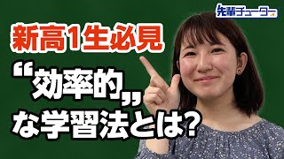 【新高１生必見】 “効率的”な学習法とは？