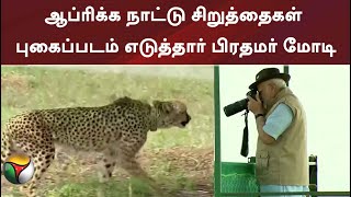 ஆப்ரிக்க நாட்டு சிறுத்தைகள் புகைப்படம் எடுத்தார் பிரதமர் மோடி