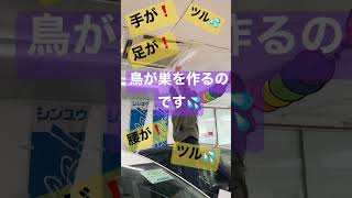 【ふぁ〜ん😢】徳島　展示場　補修　美化　＃shorts