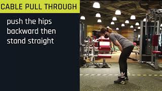 How to: CABLE PULL THROUGH | Kinetix Lab PH (exercise index)