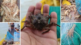 how to catch lobster in sea | खोल समुद्रात पकडले शिवंड 🦞🦞🦞( Lobster )