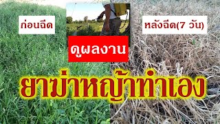 สารกำจัดวัชพืช ปลอดสารพิษที่ทำเอง  เป็นยาฆ่าหญ้าสูตรเผาไหม้ที่ใช้สะดวกปลอดภัยไร้สารเคมีอันตราย