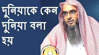 দুনিয়াকে কেন দুনিয়া বলা হয় শায়েখ মতিউর রহমান মাদানী Bangla Waz New Short Video