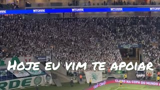 A nova música da torcida do Palmeiras
