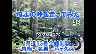 埼玉の峠を走ってみたシリーズ#８　県道53号制覇　青梅～名栗湖～芦ヶ久保