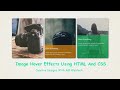 image hover effect | how to create image hover overlay effects - css image hover effects