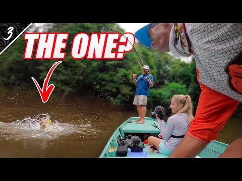 DEEP In The AMAZON Trying To BREAK The RECORD! -- GIANT PEACOCK BASS ...