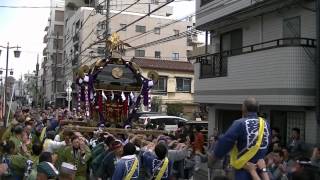 平成24年　蕨・塚越稲荷神社 初午祭　本社大神輿 町内渡御