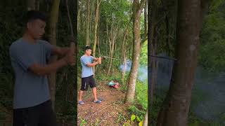 Using the fire-drilling method to stimulate agarwood trees to secrete natural resin!#Agarwood #沉香