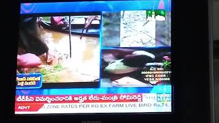 Kerala floods every house snakes bit