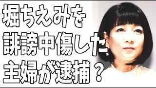 堀ちえみに執拗に誹謗中傷した女が逮捕？ってか‥‥こういうのが所謂悪質なSNSの誹謗中傷って言うんだと思うんですが‥‥