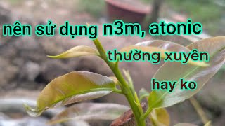 N3M,Atonic Nên Sử Dụng Thường Xuyên Hay Không, Thời Điểm Sử Dụng Hợp Lý Nhất,