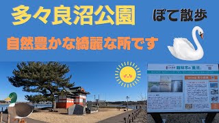 多々良沼公園【ぽて散歩】